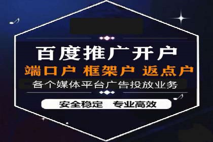 百度优化推广成功案例：品牌曝光度的大幅提升